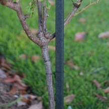 50212 50213 - pvc tie wire in-situ